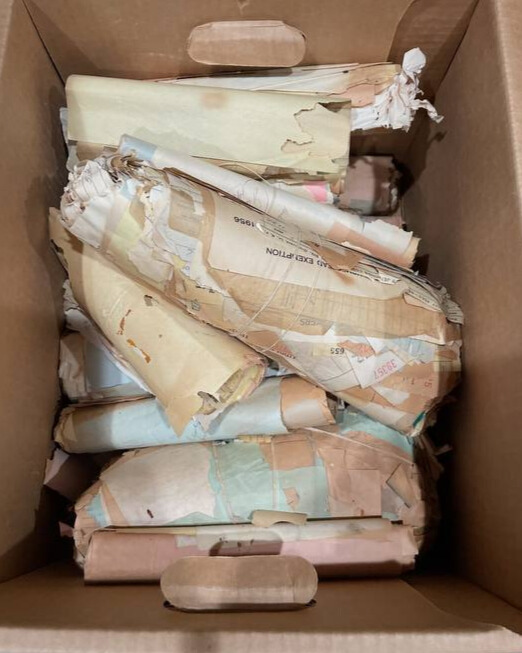 The inside of a cardboard box filled with rolled up, yellowed manuscripts